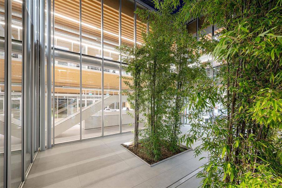 从庭院看接待处@Giovanni De Sandre .jpg